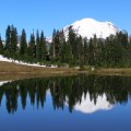 The State of Waste Management in Clark County, WA