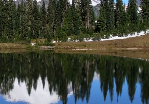 The State of Waste Management in Clark County, WA