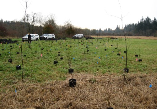 The Current Waste Management System in Clark County, WA